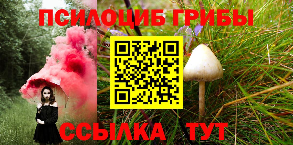 Галлюциногенные грибы MAGIC MUSHROOMS Красный Сулин
